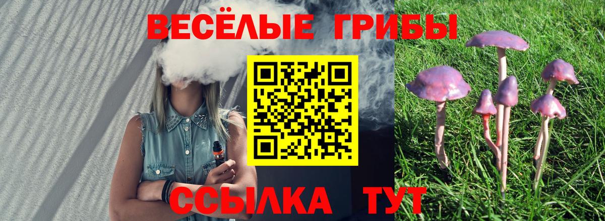 Галлюциногенные грибы мухоморы Нерюнгри