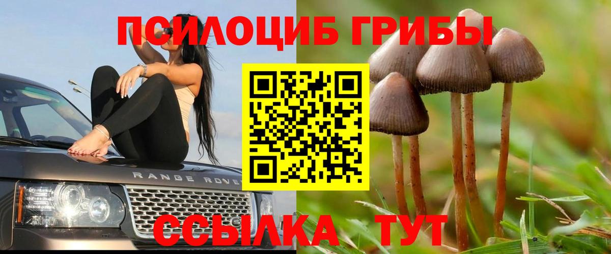 Псилоцибиновые грибы Psilocybine cubensis  Вход с VPN  Нерюнгри 